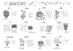 ghostghost:  I made a little Plant Horoscope for brand new zine,