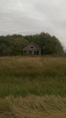 abandonedandurbex:  Woods overtaking an old house in Victoria,