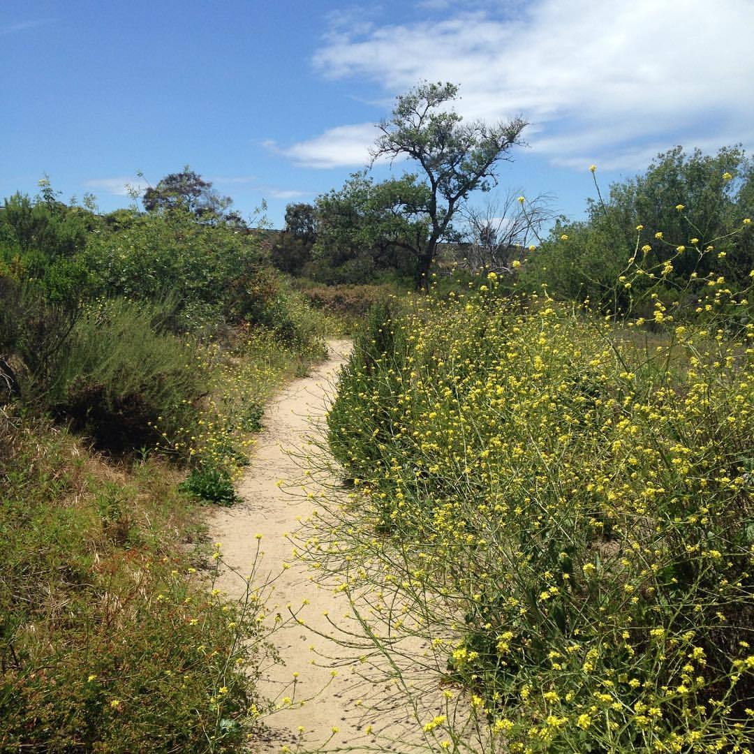 <p>at San Elijo Lagoon County Park and Ecological Reserve</p>