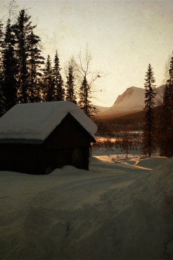 forintelse:  Kvikkjokk, Sweden, March 2008 by Oavslutad 