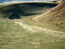 unexplained-events:  These ‘fairy circles’ appear in Namibia