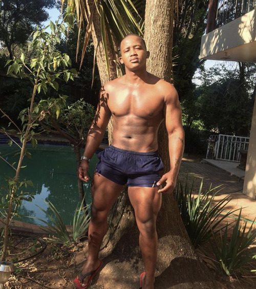 charlibal:It’s the CHEST for me…