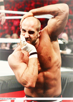  Favourite pics of ~ Antonio Cesaro [19/30]   