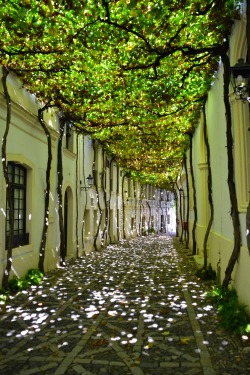 Sevilla, España