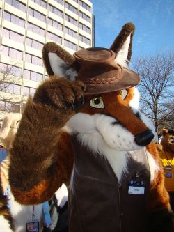 fuckyeahfursuiting:  Telford at MFF - by Wolf-Bold