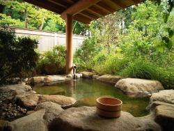 wickedlady4180:  Onsen (温泉) Is a term for hot springs in