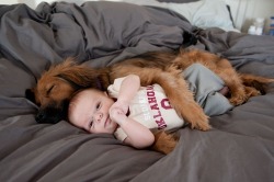 Just My Dog Spooning My Baby | Cutest Paw på We Heart It http://weheartit.com/entry/70055754/via/allisongizzmo