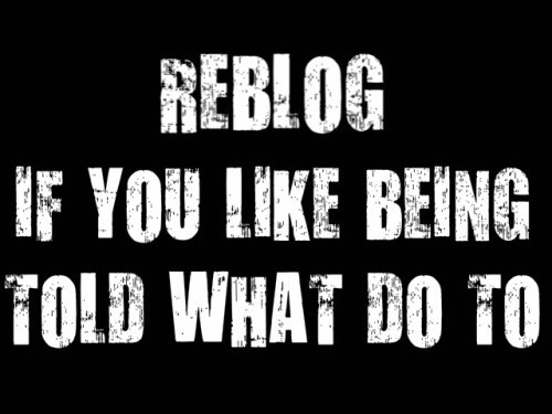 rumbledom:  You’ve got a lot of reblogging to do, fag-face. Get going, chop-chop. 