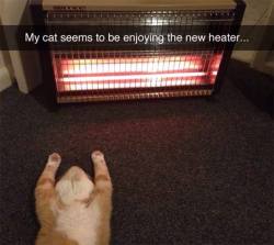 worldofthecutestcuties:  Praise the warmth of the heat God! 