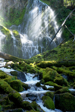 ata-raxie:  Proxy Falls, Oregon (by Malcolm Lee) 