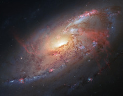 just–space:Hubble view of the spiral galaxy Messier 106 