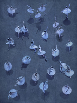  The Essence Of Ballet, 2012—2014 [image from La Bayadére, 2012] | Ingrid