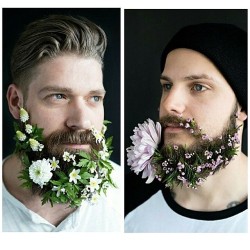 werecakes:  flower beards 