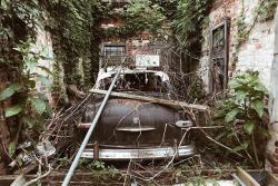 abandonedandurbex: Abandoned car resting in overgrown garage