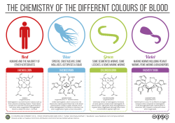 compoundchem:  Blood doesn’t just come in red; blue, green