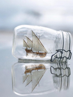 hms-surprise:  Ship in a Bottle