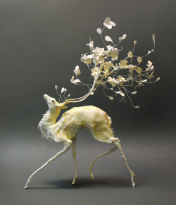 itscolossal:  More here: Surrealist Sculptures by Ellen Jewett