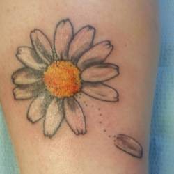 Daisy on Sara. Thank you! #apprentice #apprenticetattoo #art