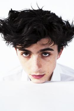 westwallys: TIMOTHÉE CHALAMETfor W Magazine (2019), ph. Tim