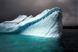 f-l-e-u-r-d-e-l-y-s:  ‘The Last Iceberg’ Photographer