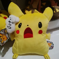 amytheyu:  Just why, Pikachu?  Why? 