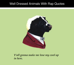 tastefullyoffensive:  Well Dressed Animals With Rap Quotes by