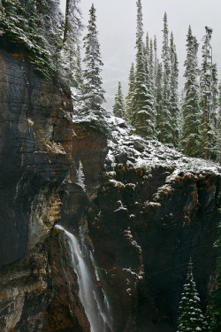 de-preciated:  Seven Veils Falls above Lake O’Hara in Yoho