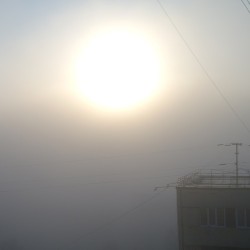 5:30 am today #fog #mist #dawn #dawning #sun ☀ #TheSun  #туман