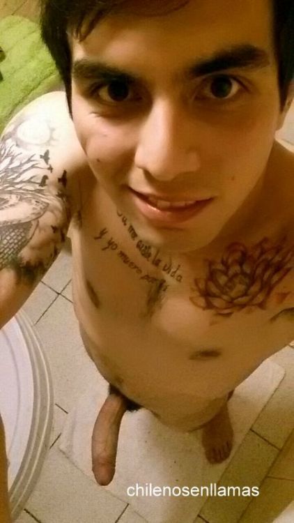 chilenosenllamas:  Wladimir, 20 años de Santiago. vuelve este machito con verga deliciosa!Mira su video aquí:http://chilenosenllamas.tumblr.com/post/144282675591/vídeo-de-wladimir-20-años-haciéndose-una