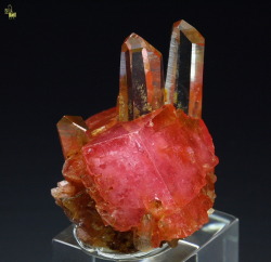 witchedways:  mineralists:  Interesting specimen of Quartz and