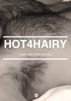 hot4hairy:  H O T 4 H A I R Y  Tumblr | Tumblr Ask | Twitter