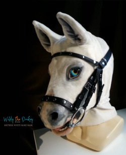 wildyfurlove:    Bridle for Mistress   what a cute face <3