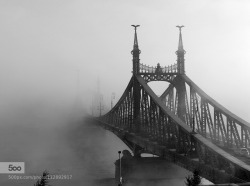 random-photos-x:  Fog by Korinna76. (http://ift.tt/1GEUxnf)