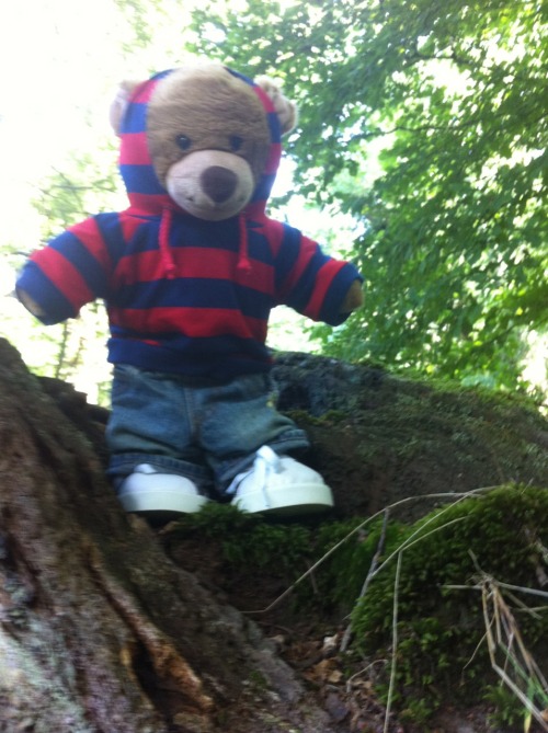 lilscruff:  babyjasonabdl:  JJ bear having a fun adventure too.   I am so jealous of your tee shirt.