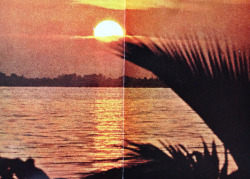 justenoughisplenty: Florida sunset.  National Geographic - April,