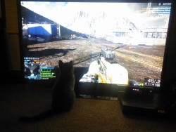 He likes to watch me play Battlefield lol. Sometimes he even