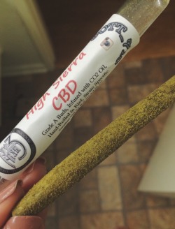 bluntsandblackice:  Grade A buds, infused with oil, hand rolled