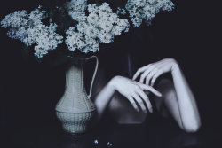 emmanuellefanny:  To feel how flowers die… by MariaPetrova