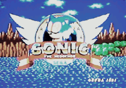 glitchee:  Megaglitch #15. (Sonic the Hedghog)