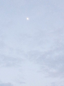 rnonaco:  pale beach aesthetic 