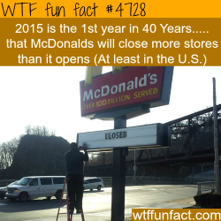 wtf-fun-factss:  McDonalds to close more stores than it will