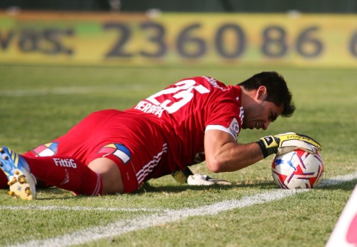 flaitestriplex:  Macho alfa :$ jhonny cógeme :$ aportes a flaitestriplex@gmail.com