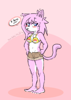 remember that time there was a swimsuits edition VG cats.