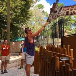 wesfromthewest:  Fed a Giraffe today 😍