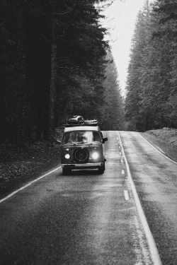 y–0–u–n–g:  Edit🍂