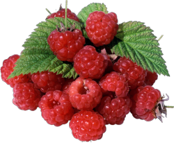 This make me hungry.its a shame that there os not raspberrys