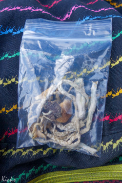 lucydreads:  Shrooms & edibles mmm  