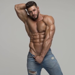 Adonis Files