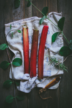 foodffs:  Spicy Rosemary Rhubarb Margarita Really nice recipes.