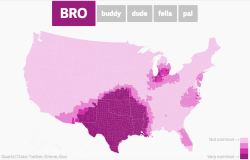 rubiline:  maptitude1:  These maps show the regional prevalences